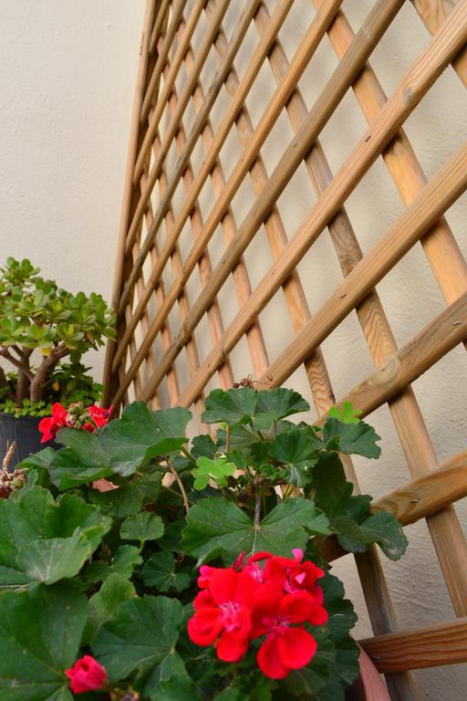 Anatolia Guest House Chania  ภายนอก รูปภาพ